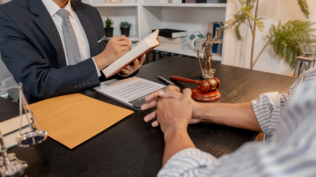 Lawyer is consulting client
